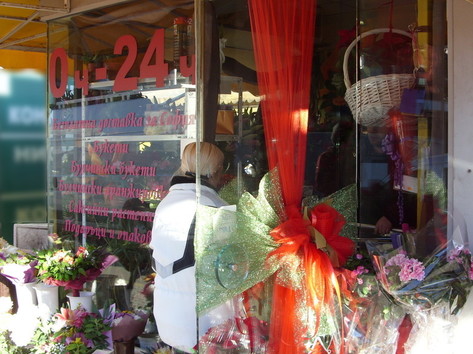 Flowers - Flower shop