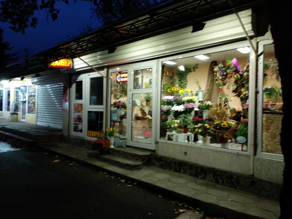 Flowers - Flower shop