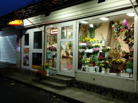 Flowers - Flower shop